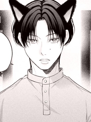 冷酷猫咪的恋爱姿态