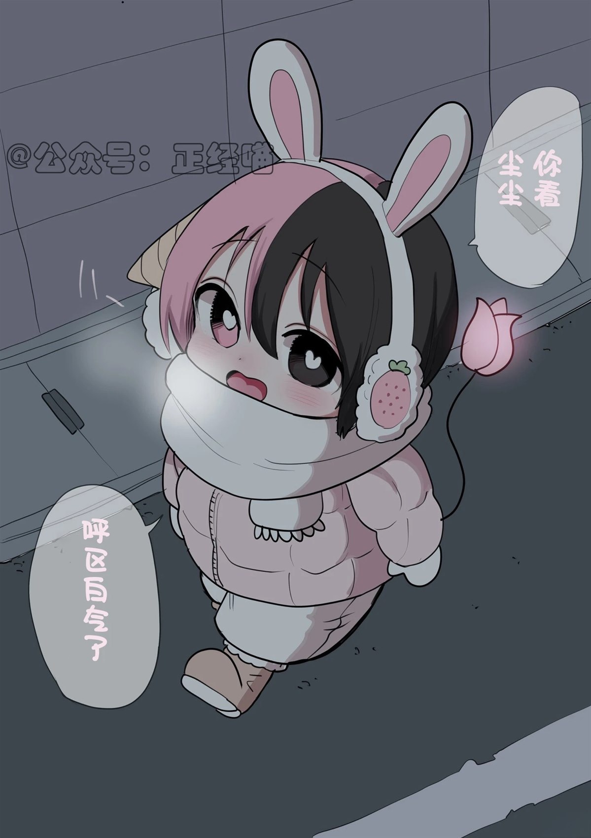 MONA 第5页