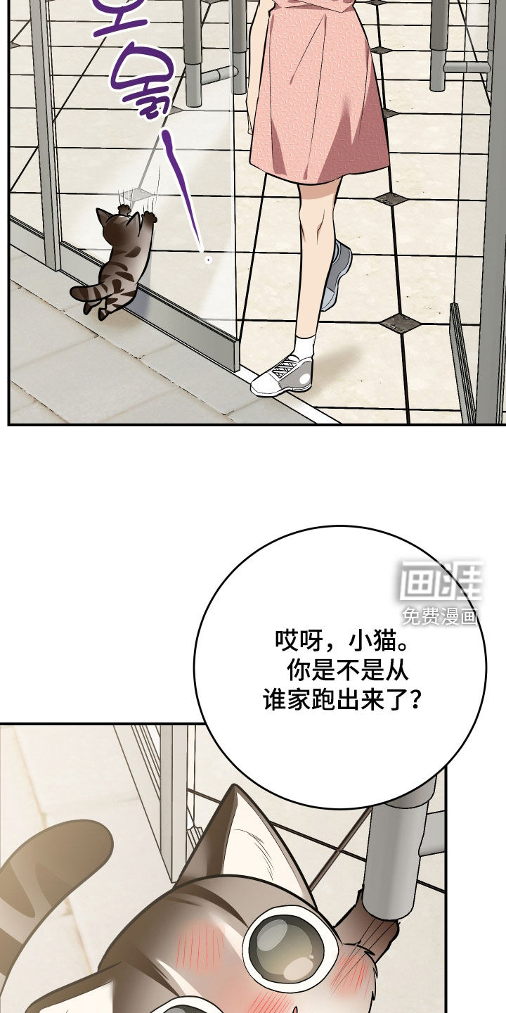 第40话5