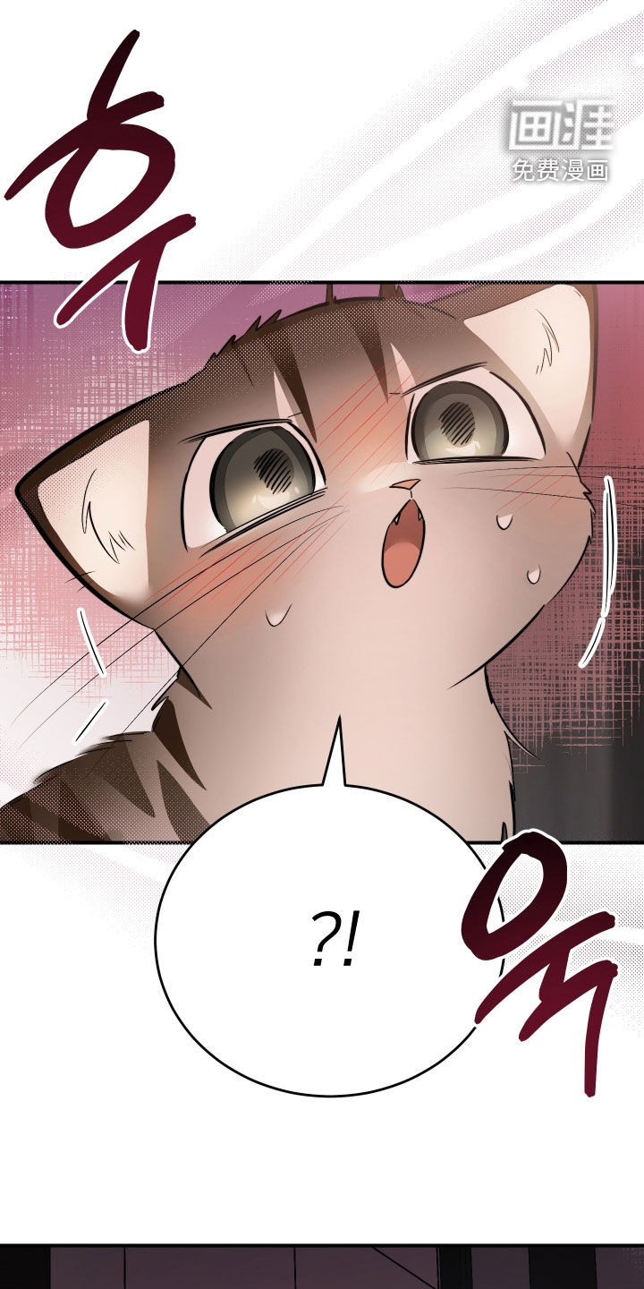 第40话20