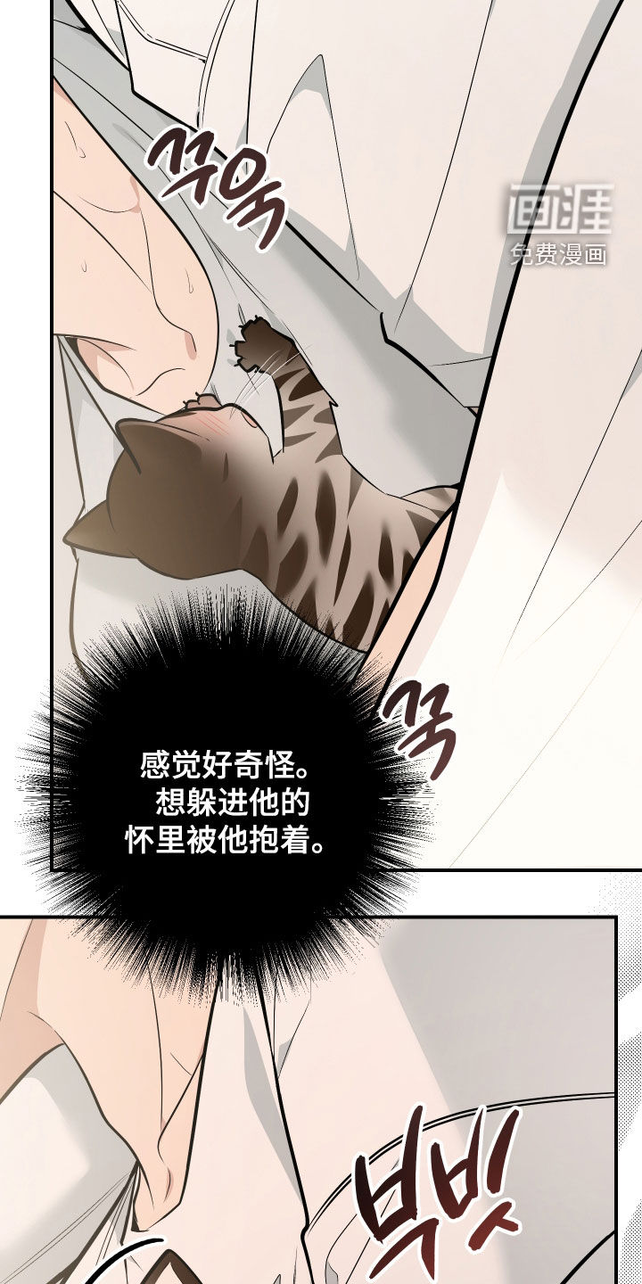 第41话13