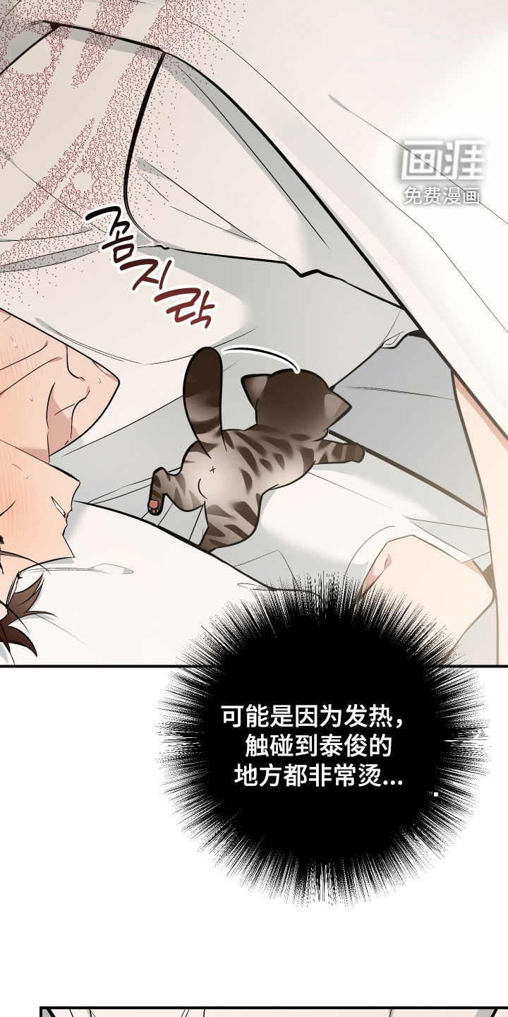 第41话12