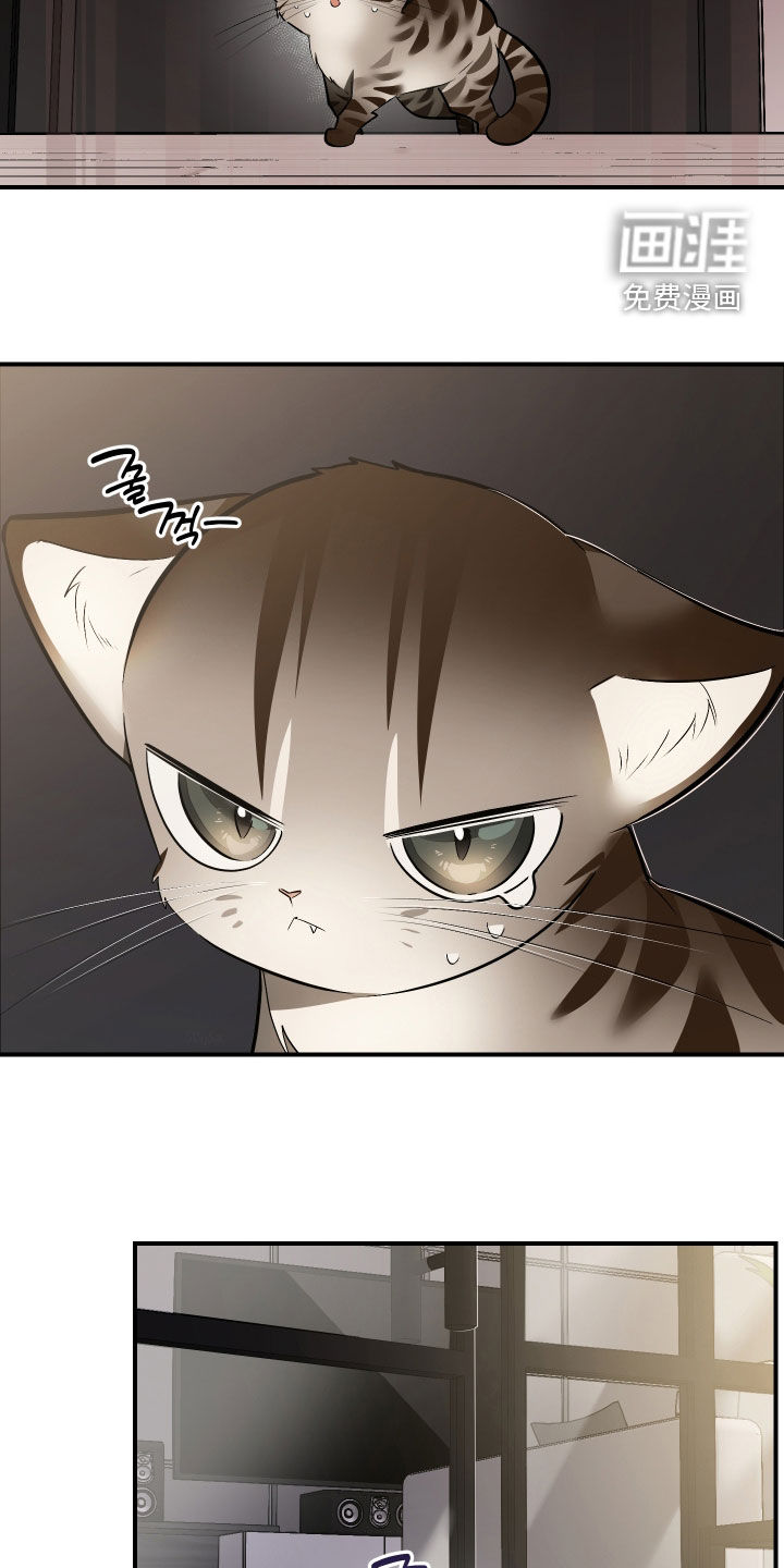 第41话1