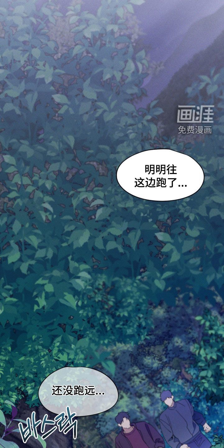 第74话17
