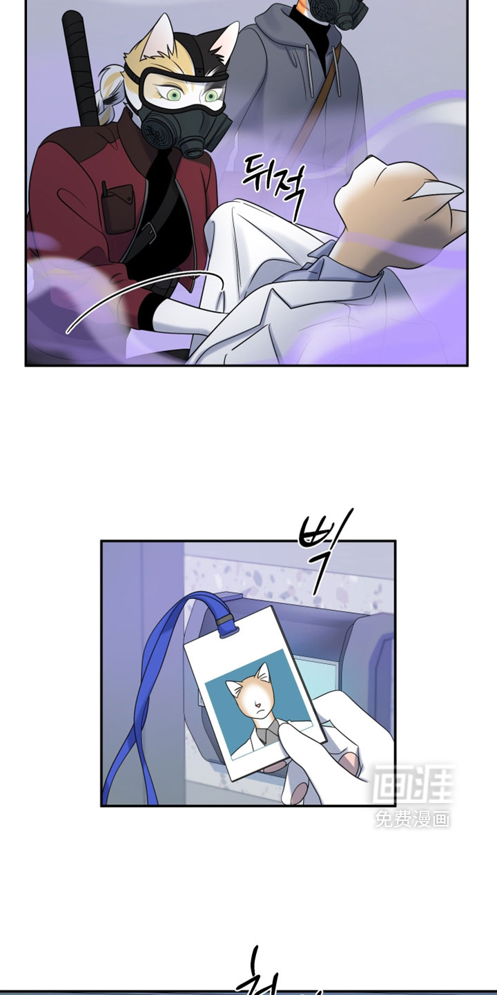 第191话17