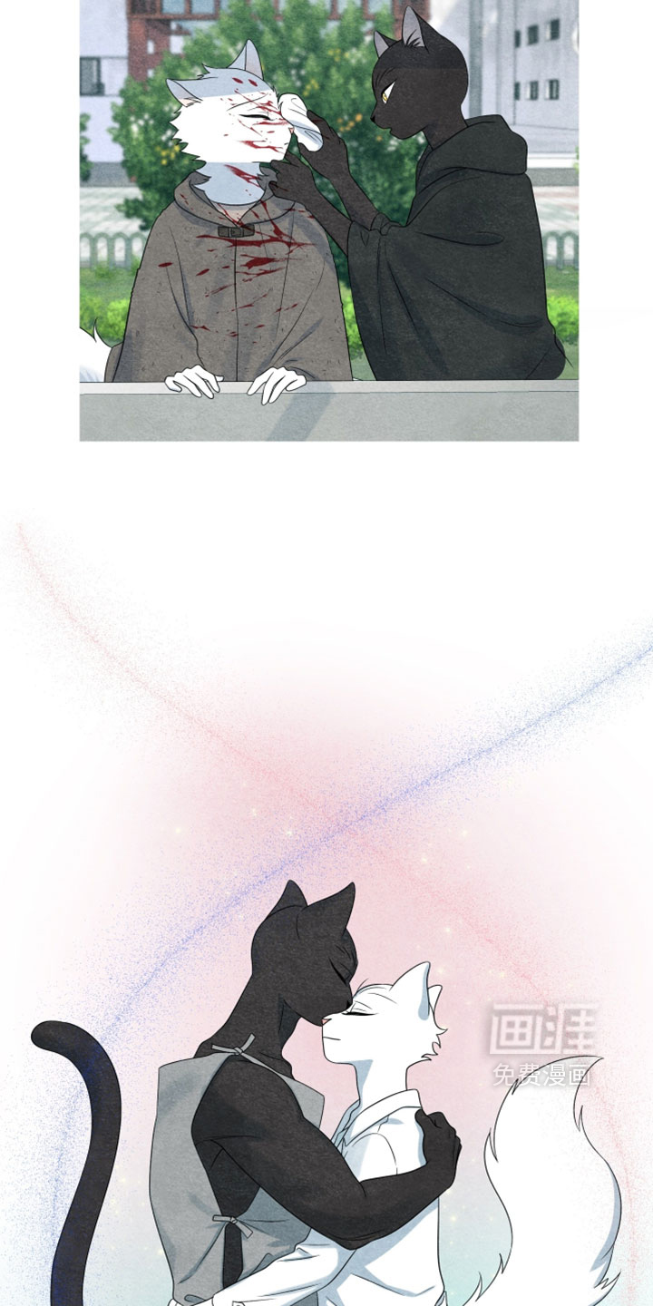 第190话14