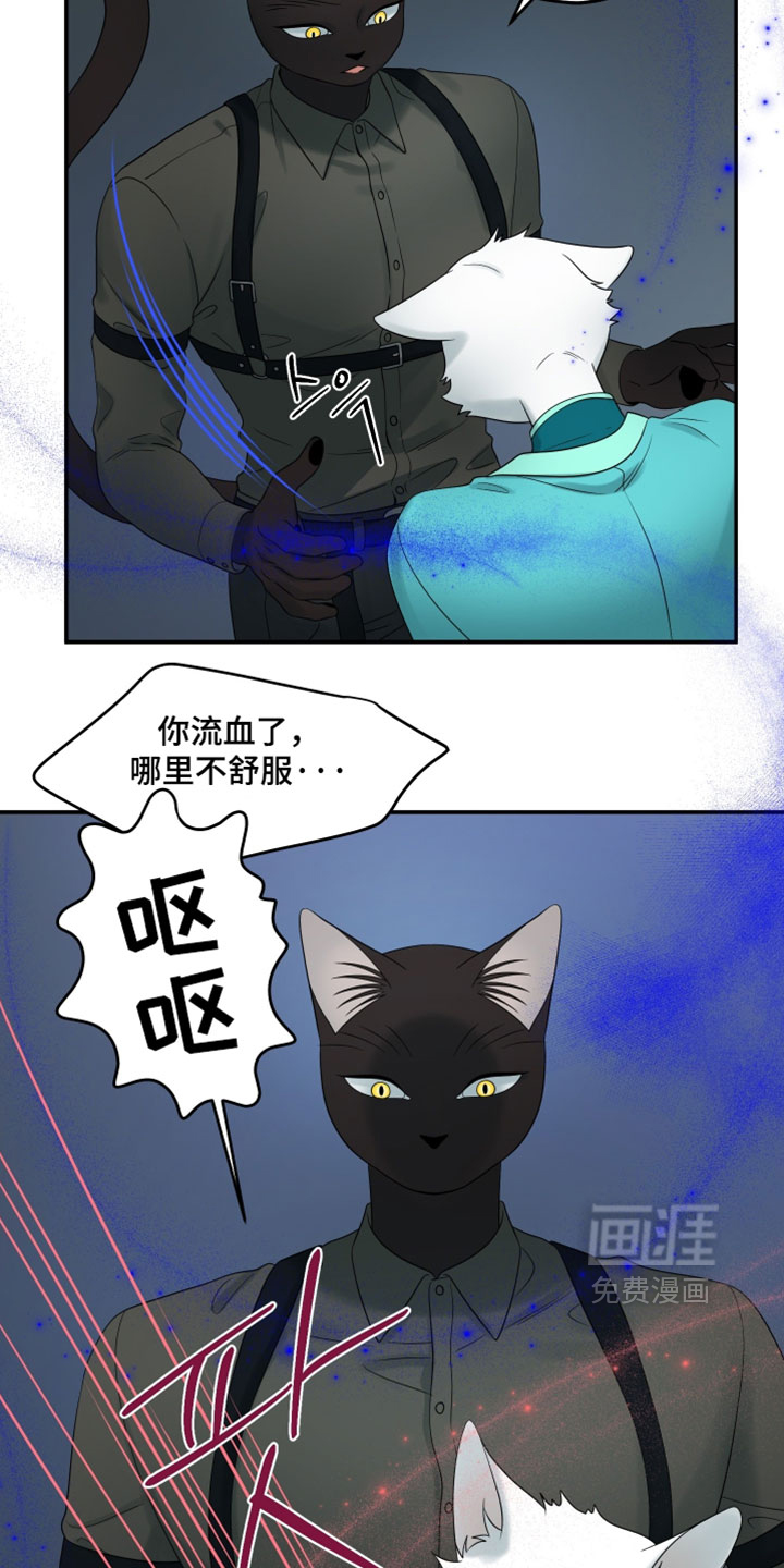 第190话24