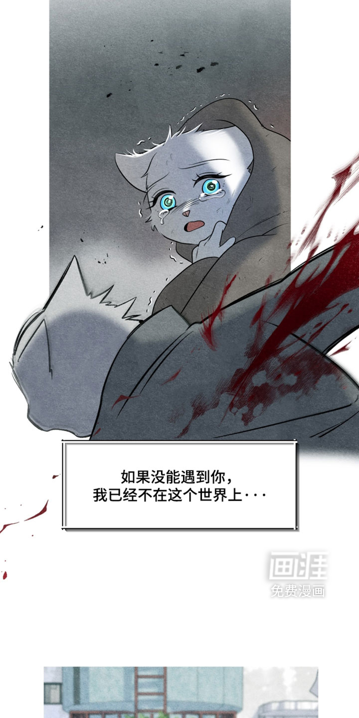 第190话13