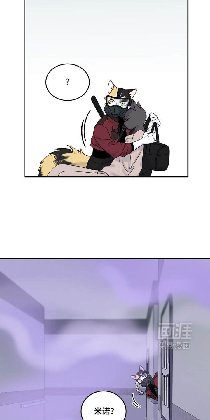 第194话12