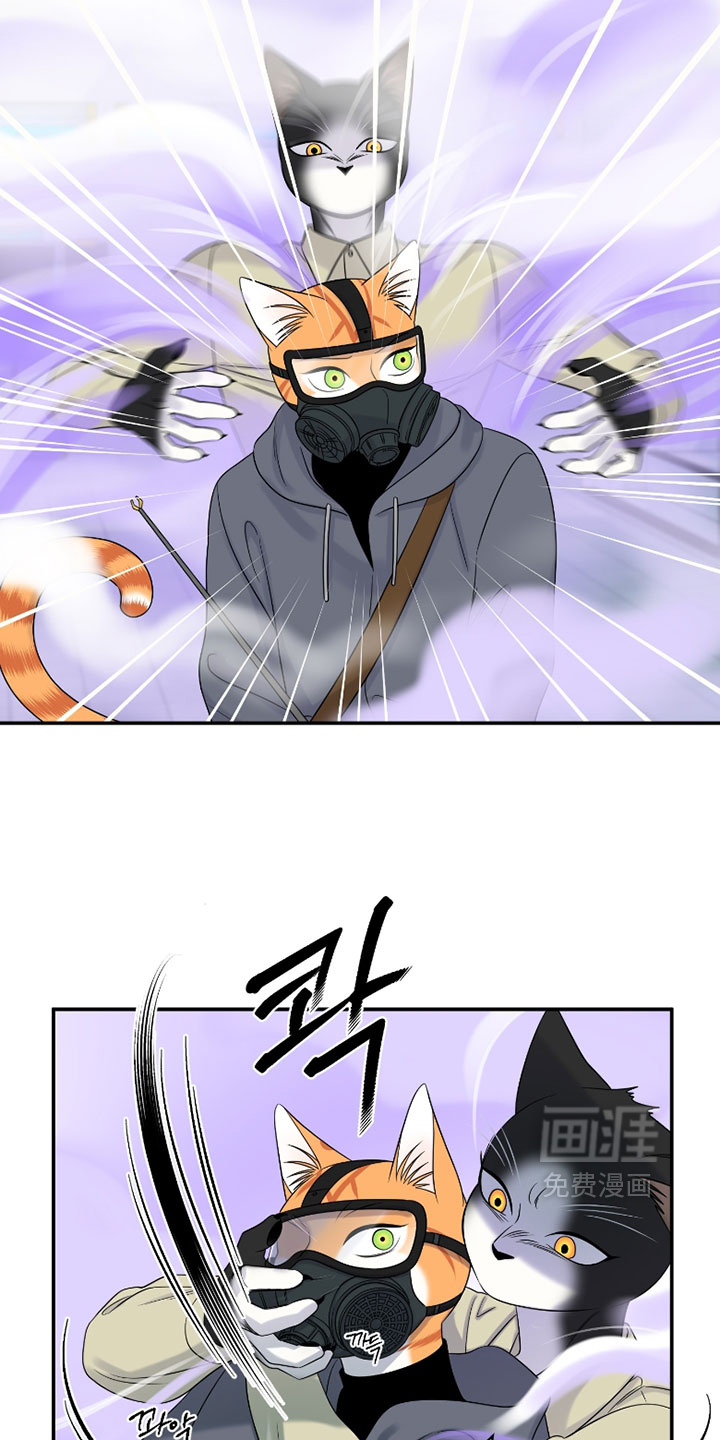 第194话16
