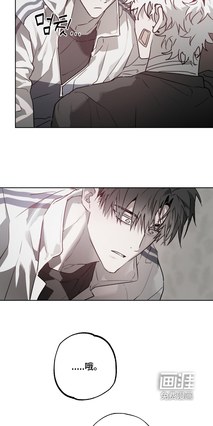 第49话13