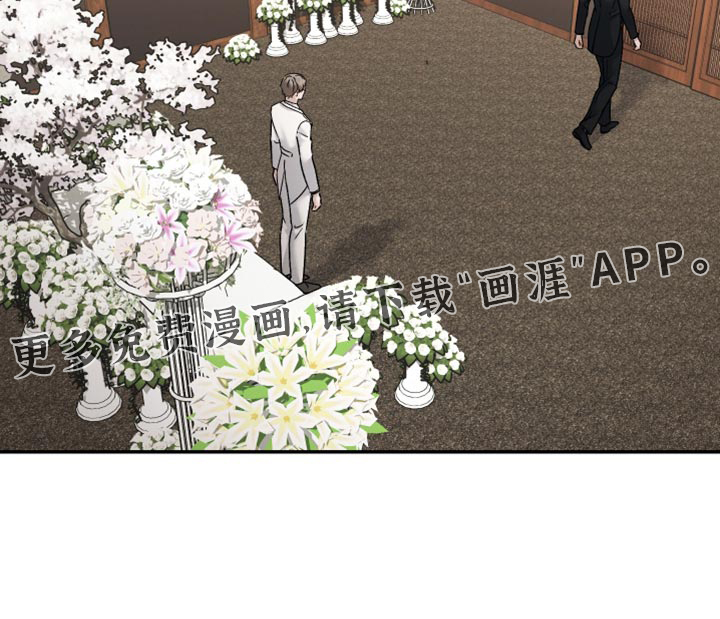 第146话17