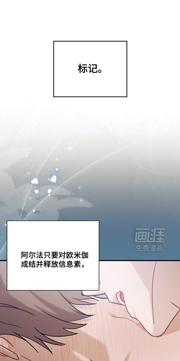 第111话5