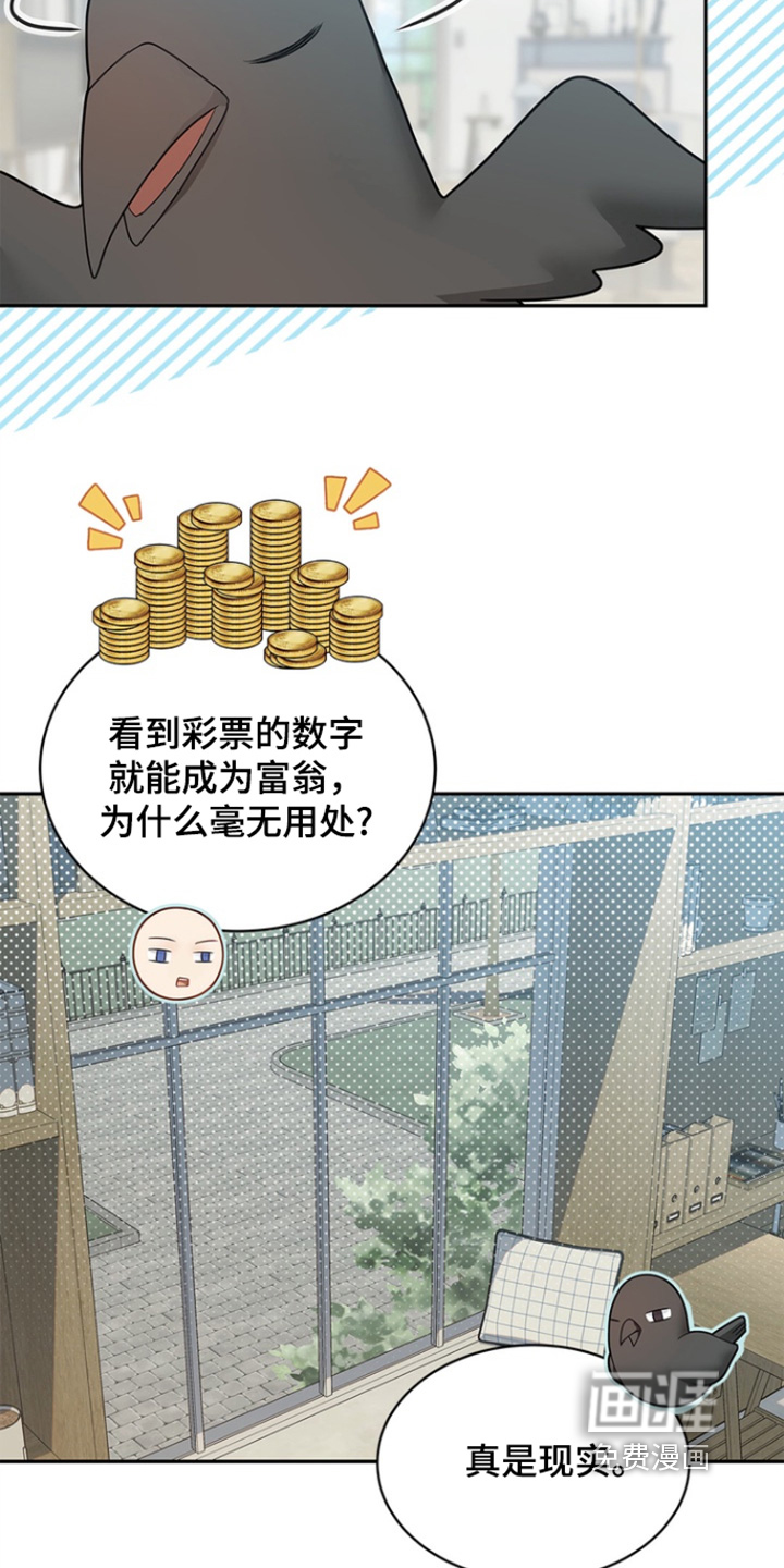 第183话11