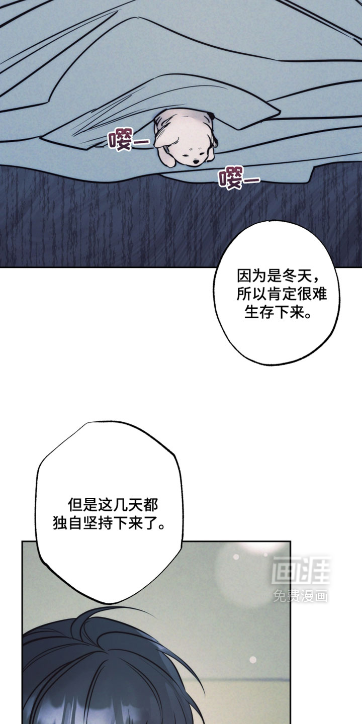 第103话23