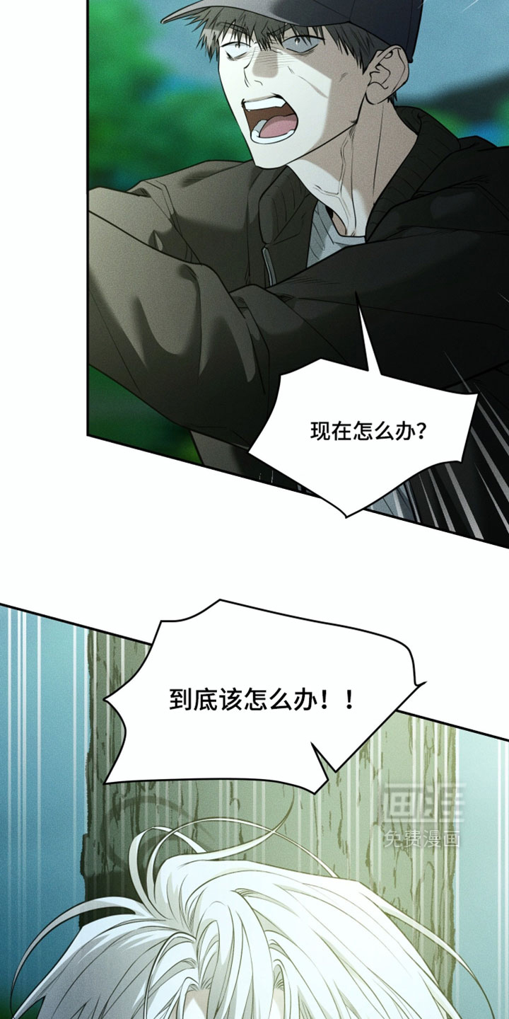 第119话2