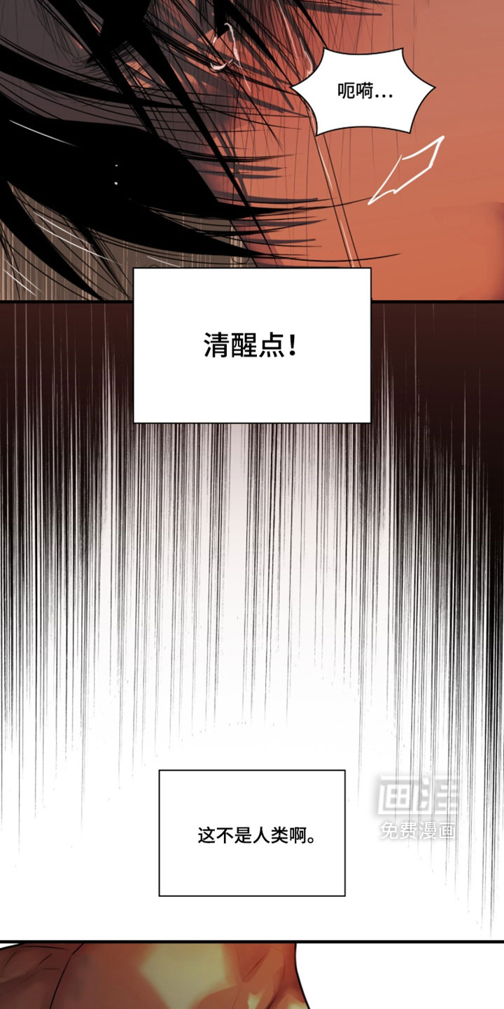 第114话5