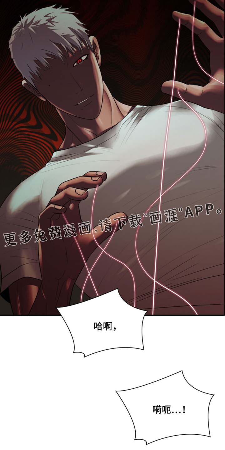 第116话23