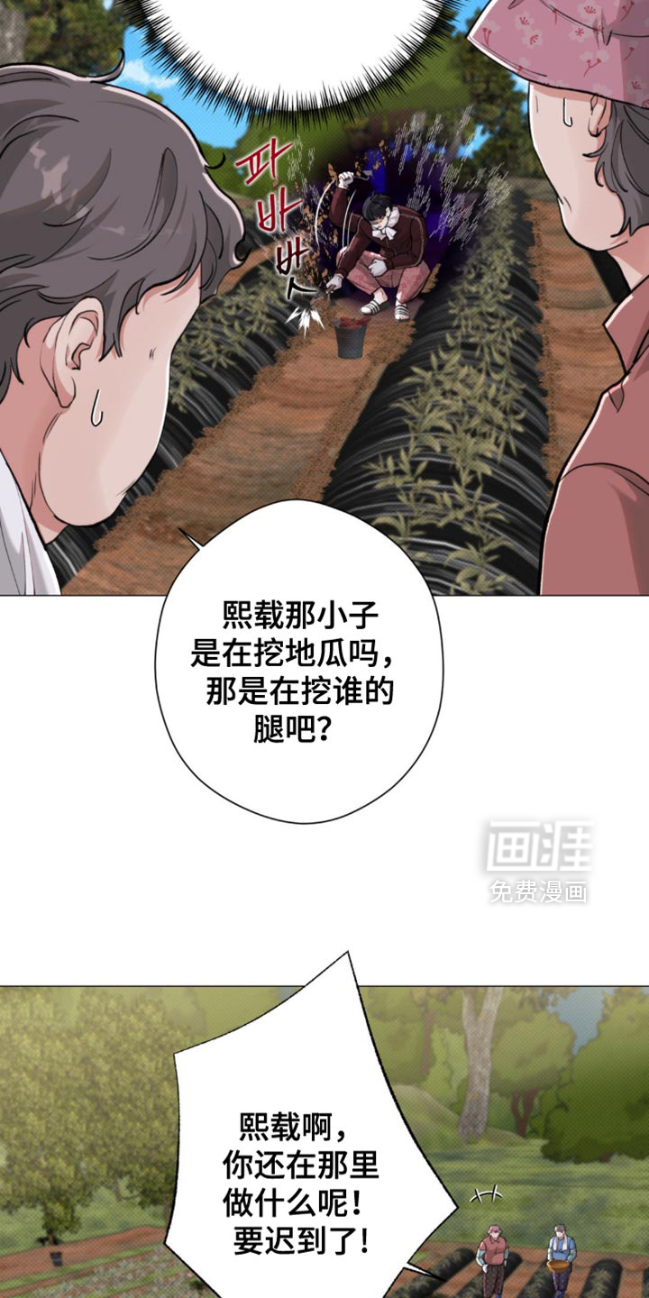 第51话13