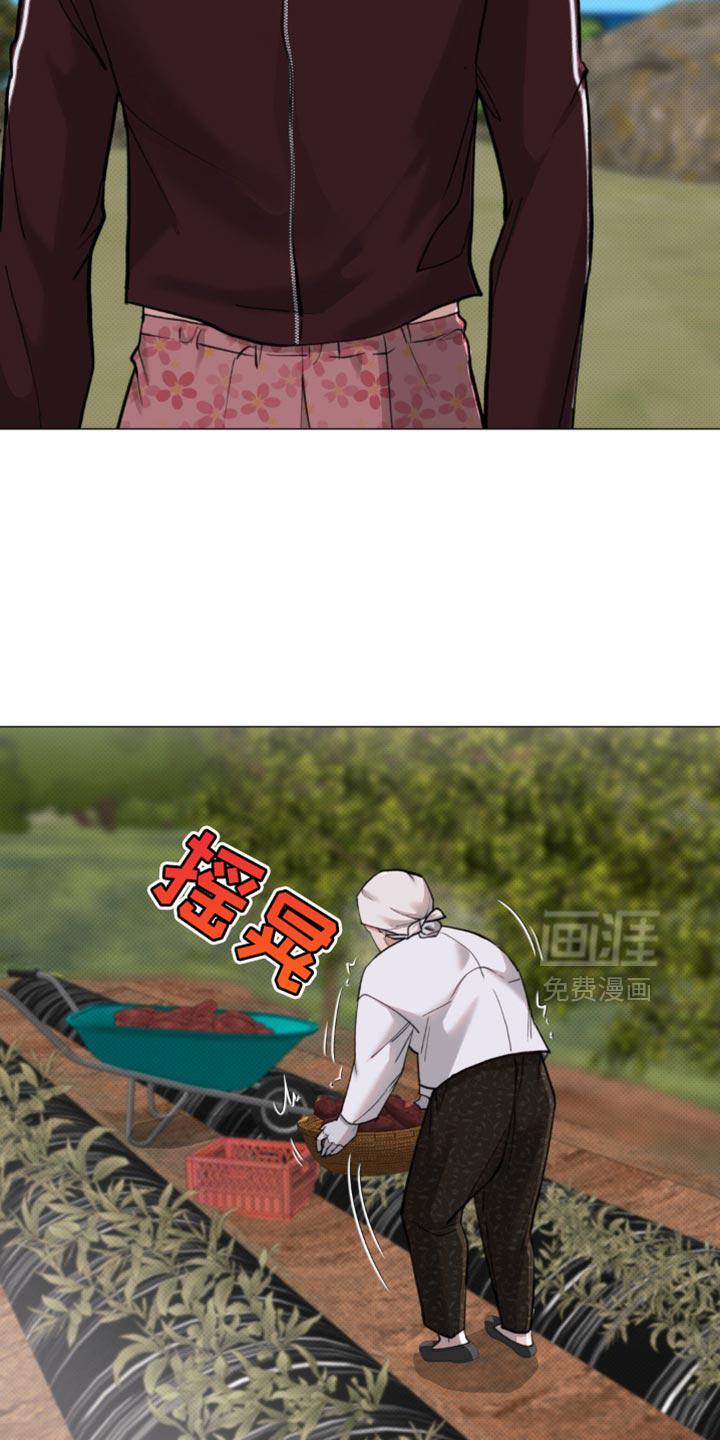 第51话17