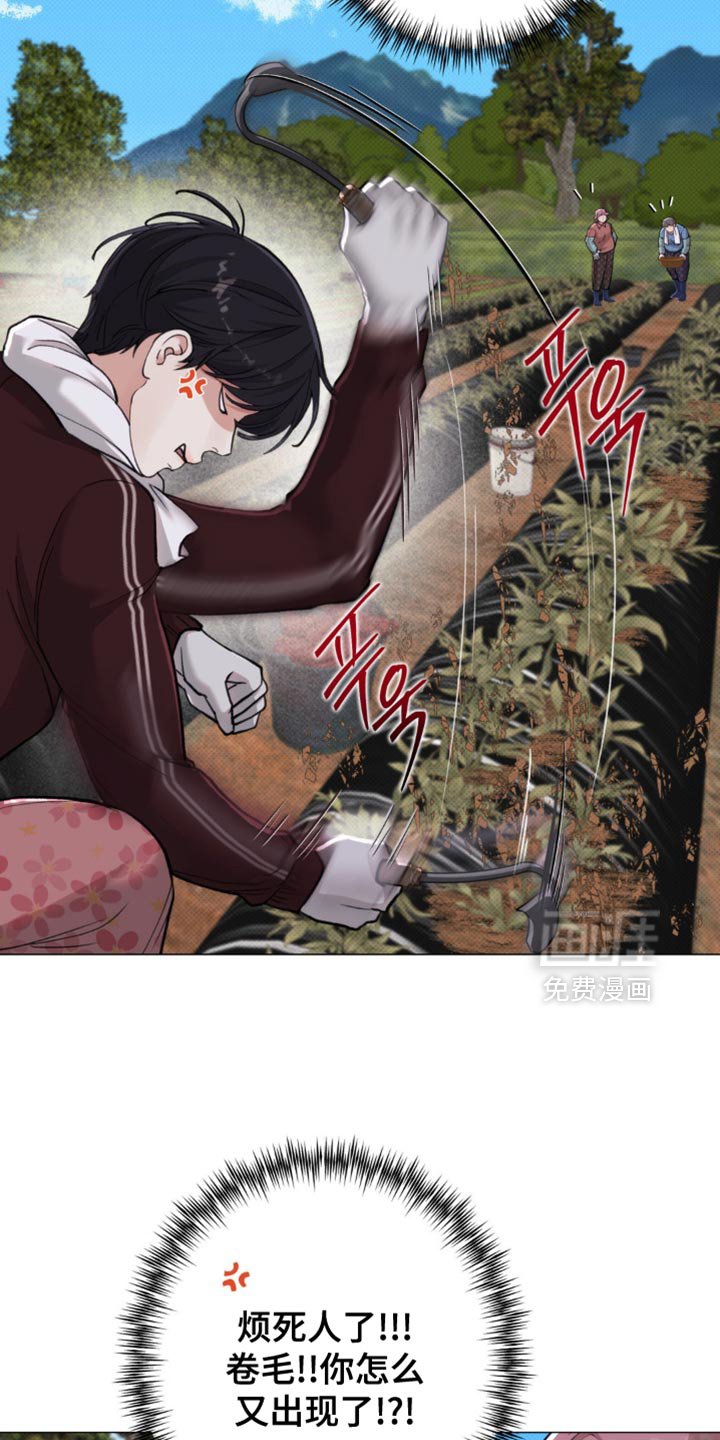 第51话12