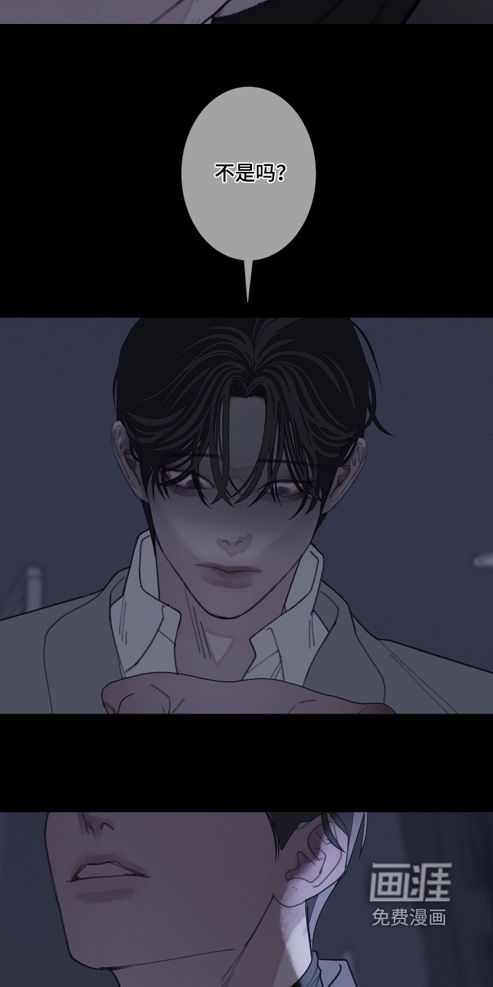 第217话17