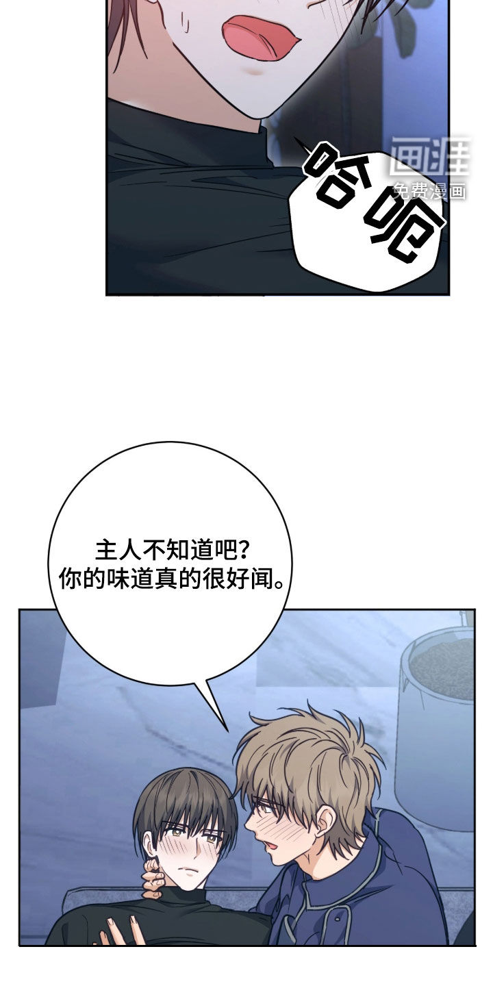 第55话 第11页
