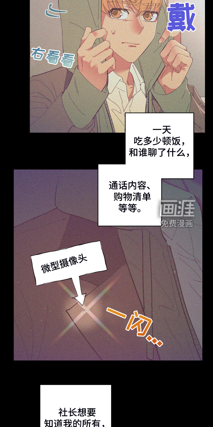 第82话 第17页