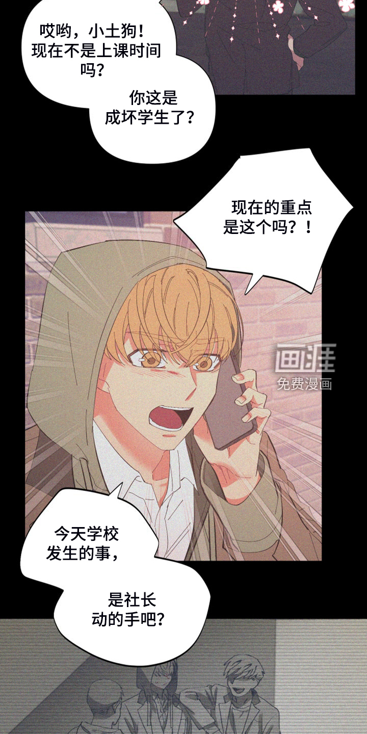 第82话 第19页