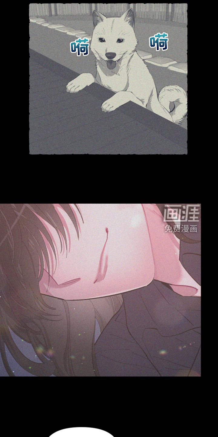第80话 第11页