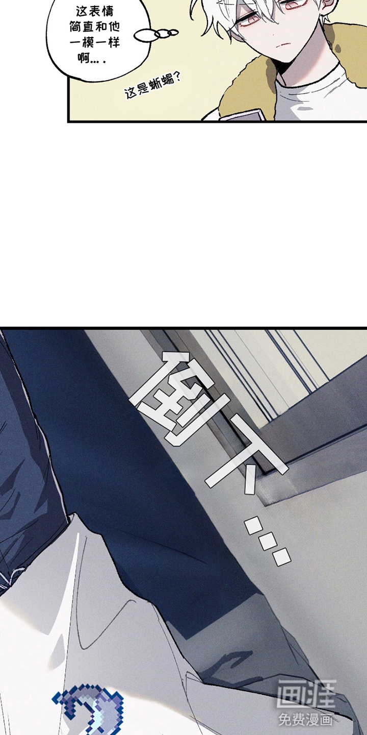 第10话5