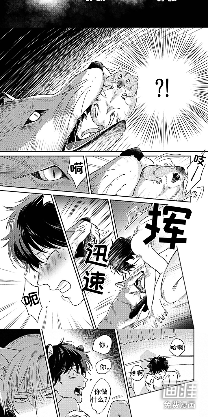 第13话5
