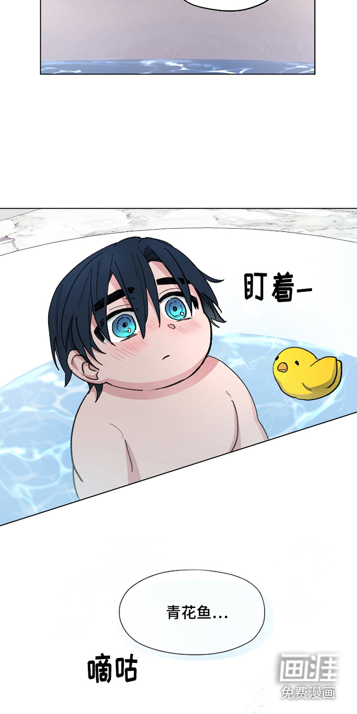 第11话5