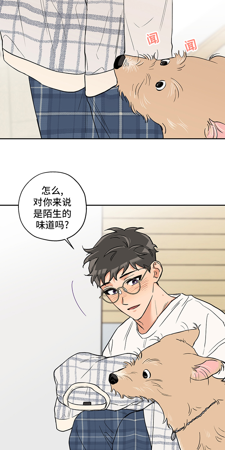 第79话 第14页