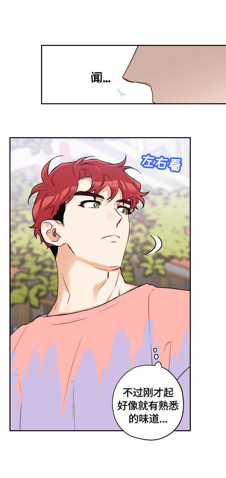 第41话 第6页