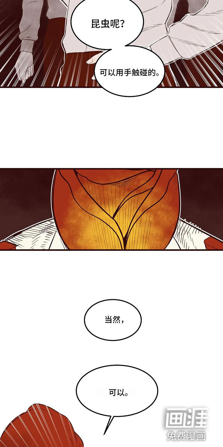 第42话 第4页