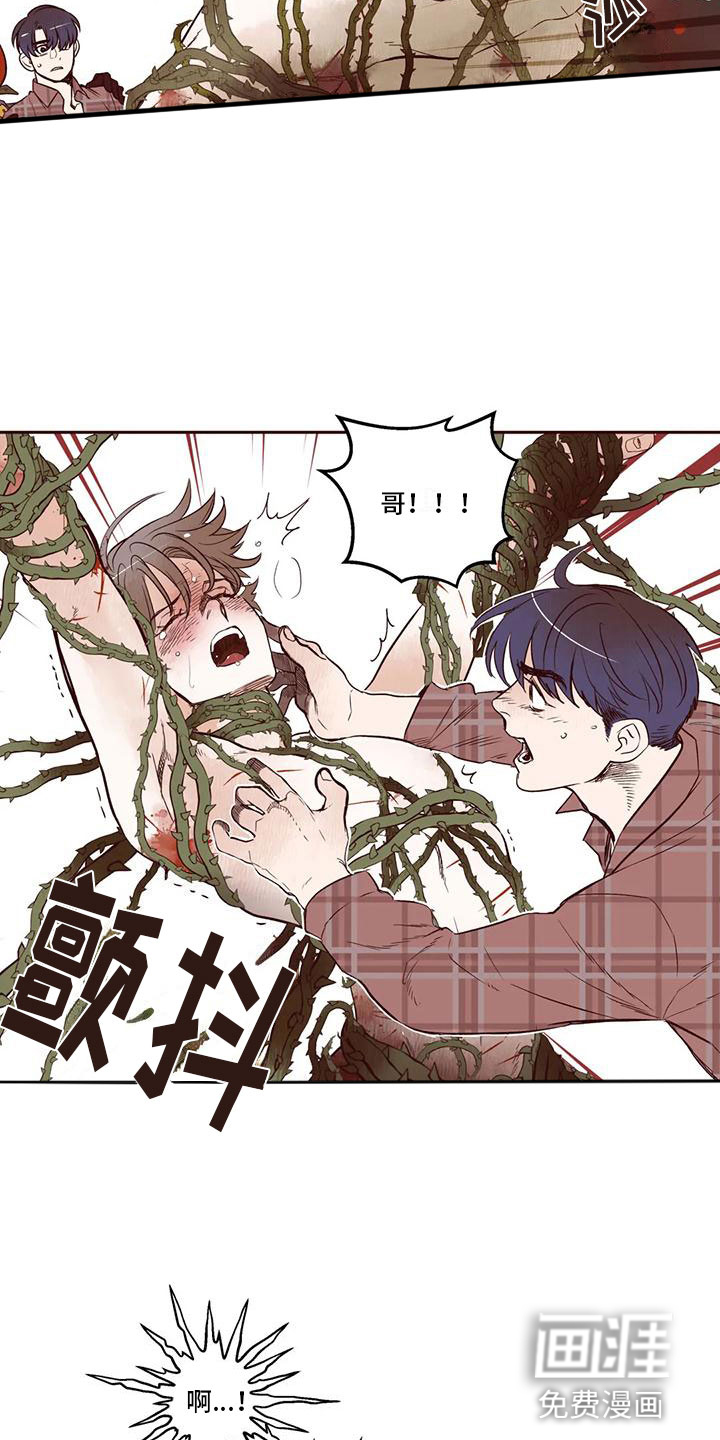 第16话 第11页