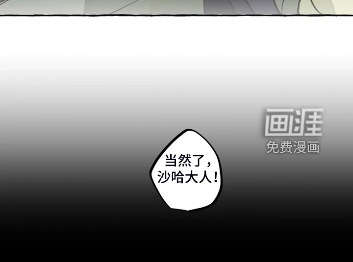 第41话 第19页