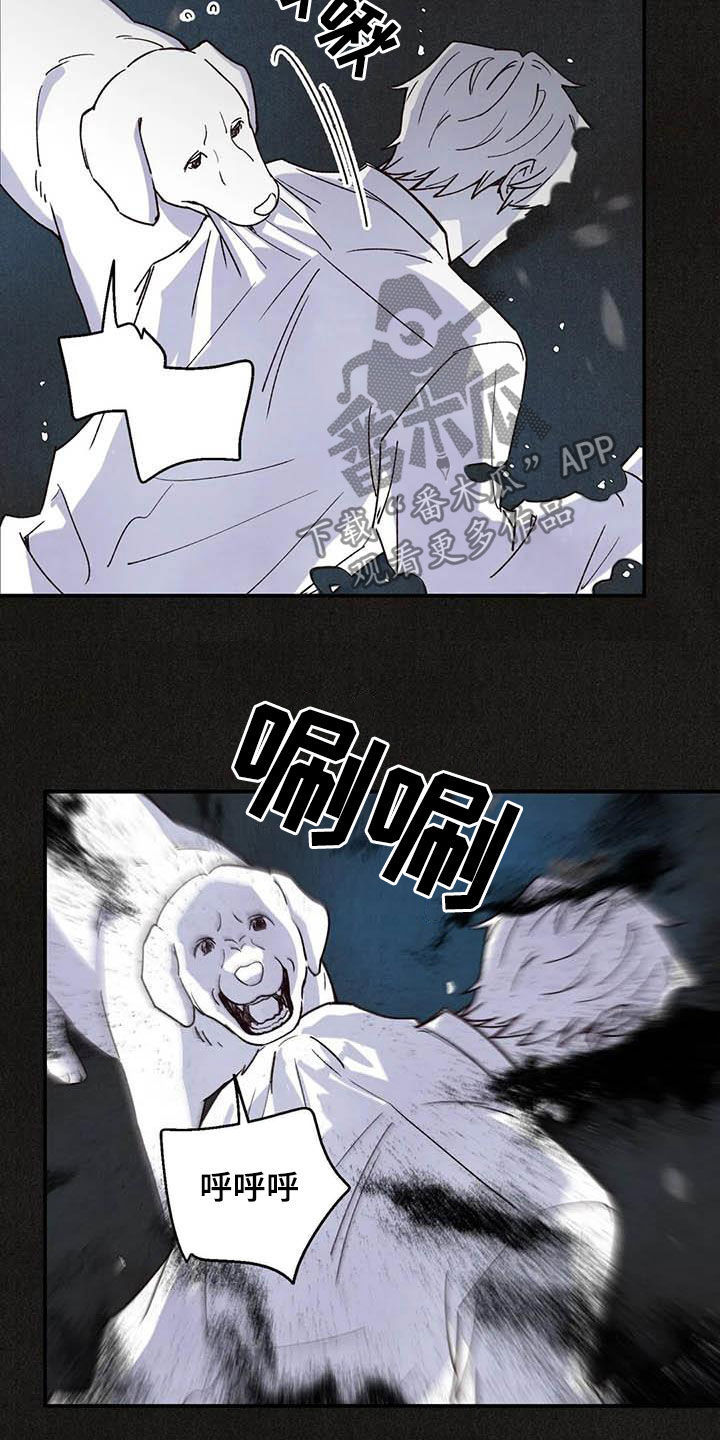 第129话 第19页