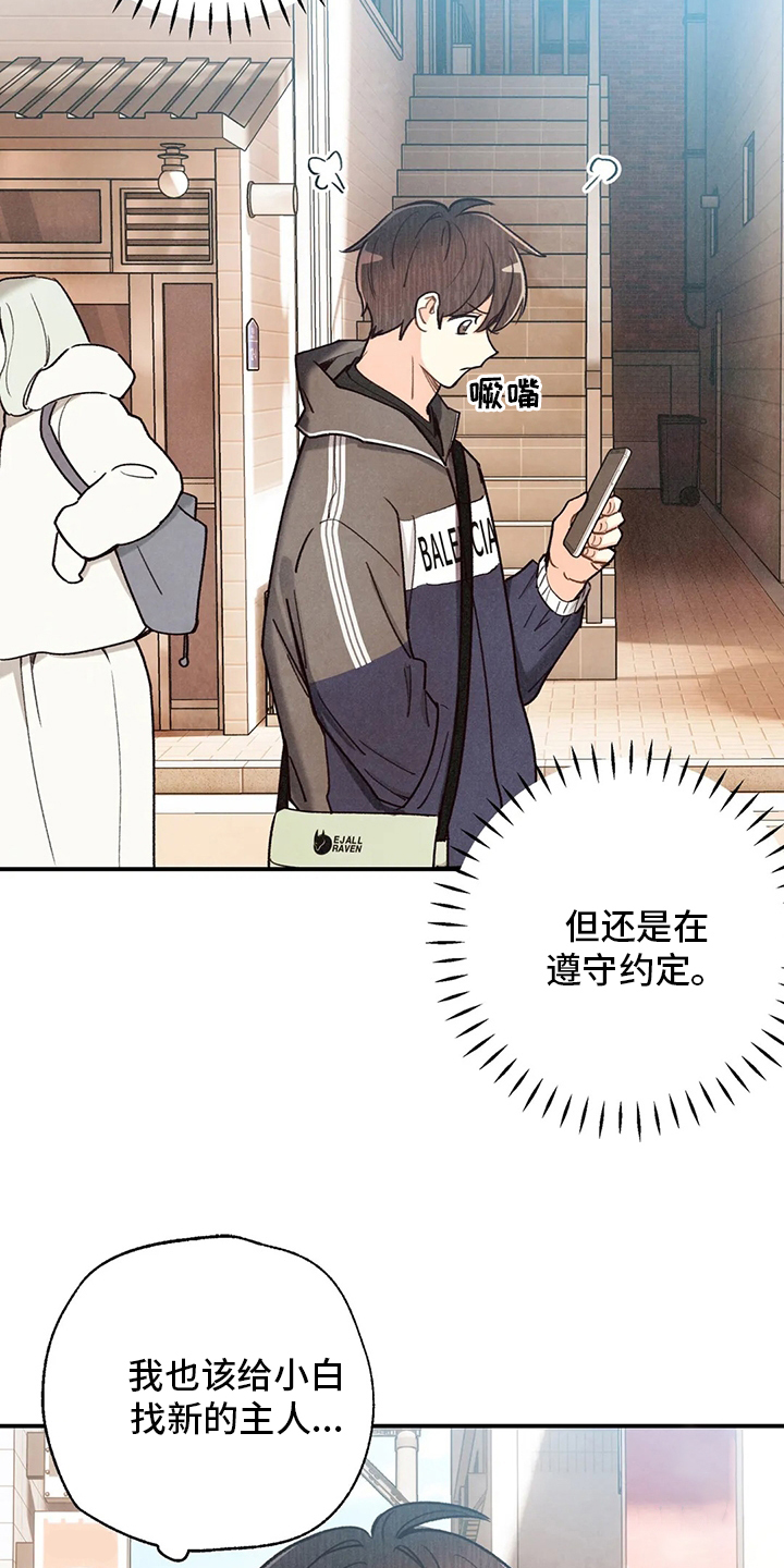第118话 第11页