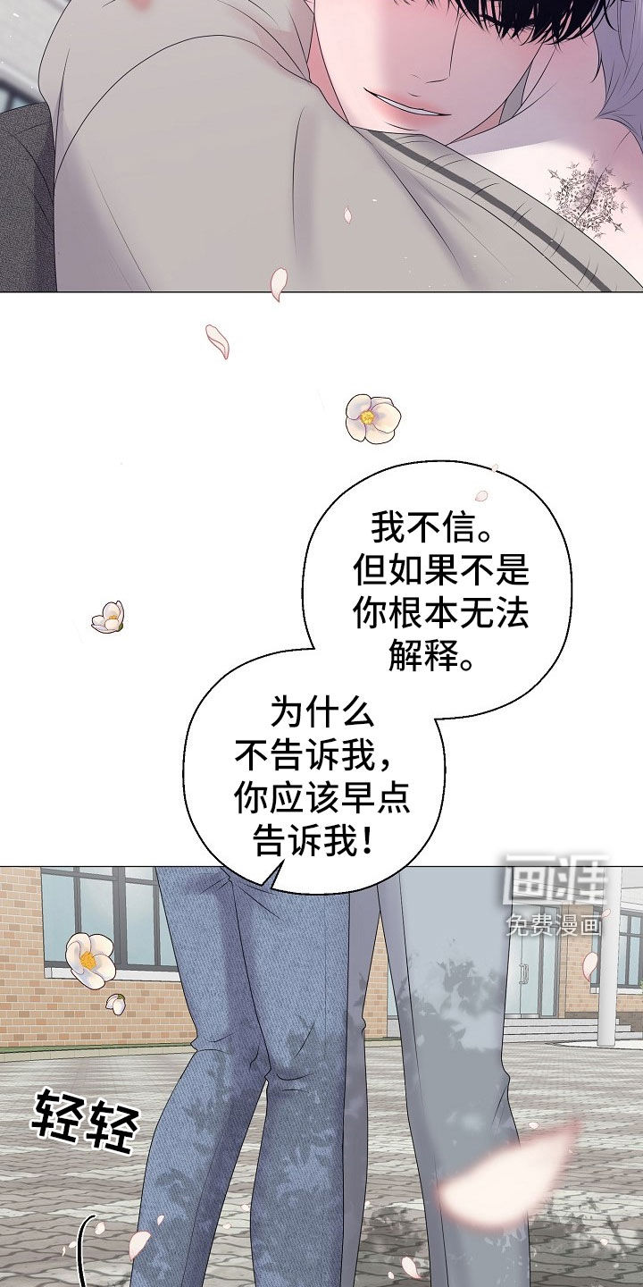 第49话 第13页