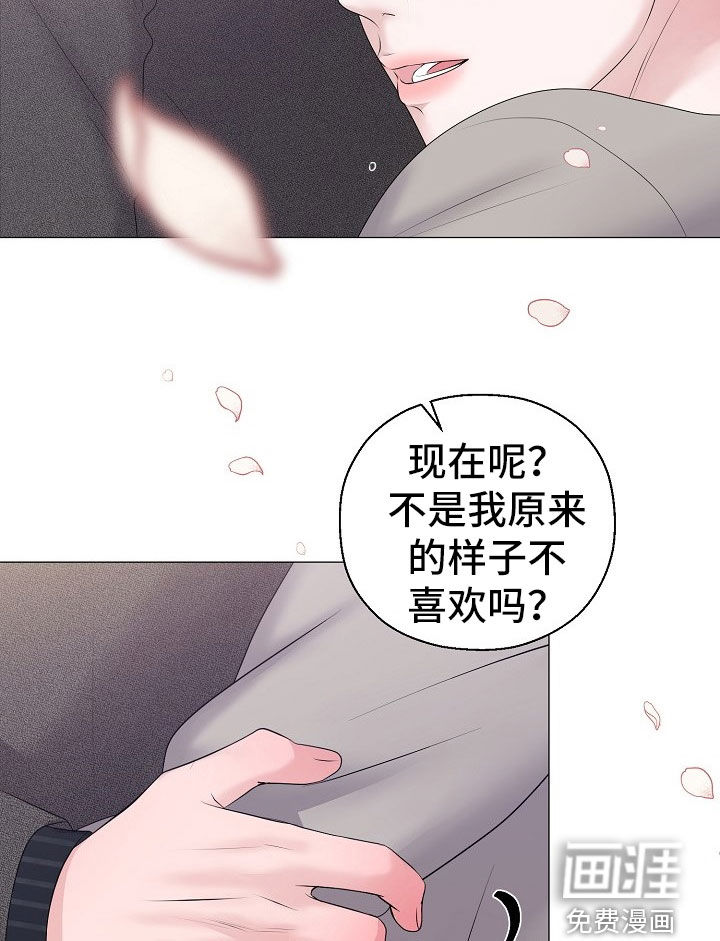 第49话 第17页