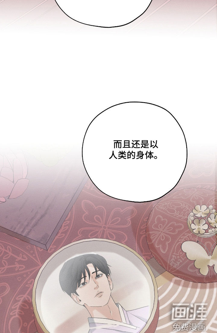 第51话32