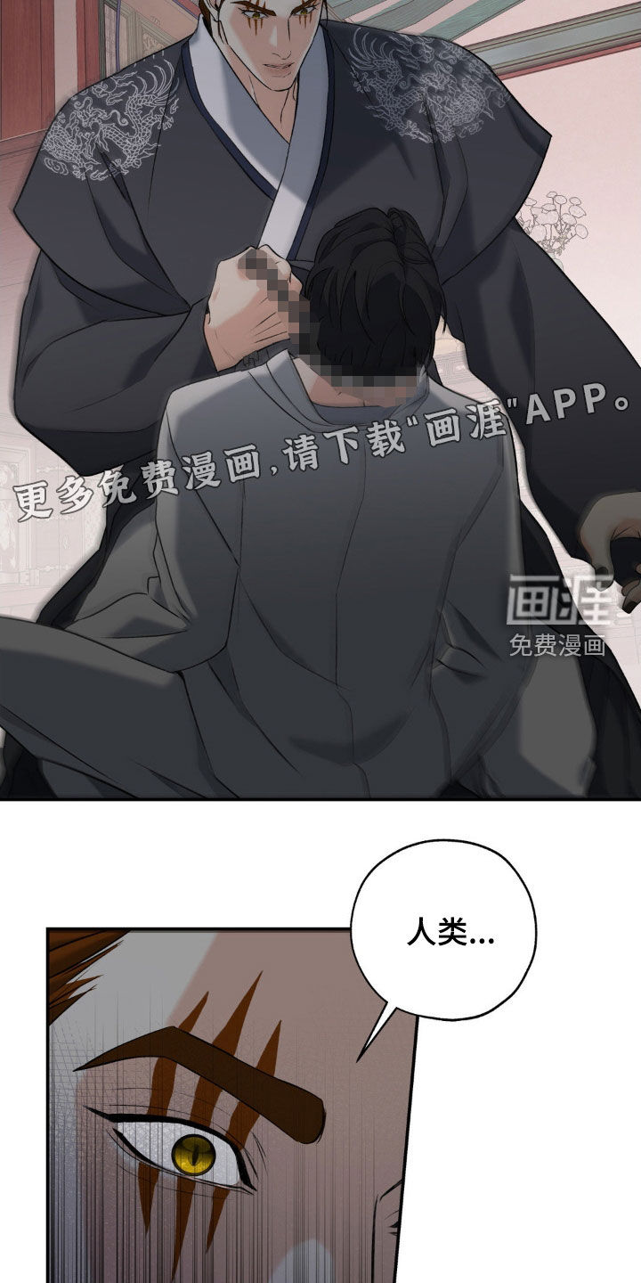 第41话3
