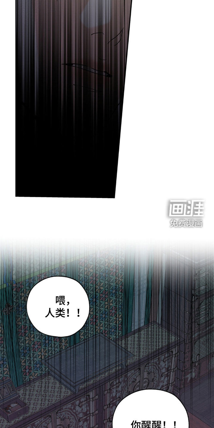 第41话4