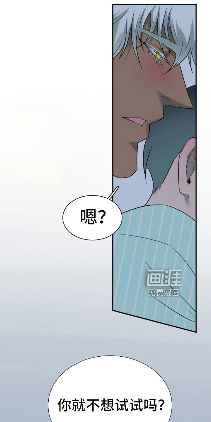 第307话 第6页