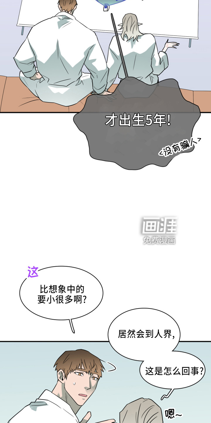 第271话 第12页