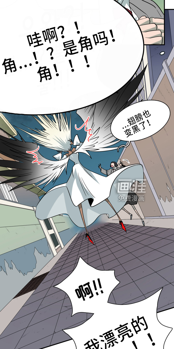 第269话 第23页