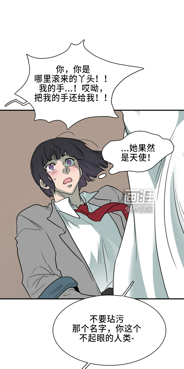 第269话 第11页