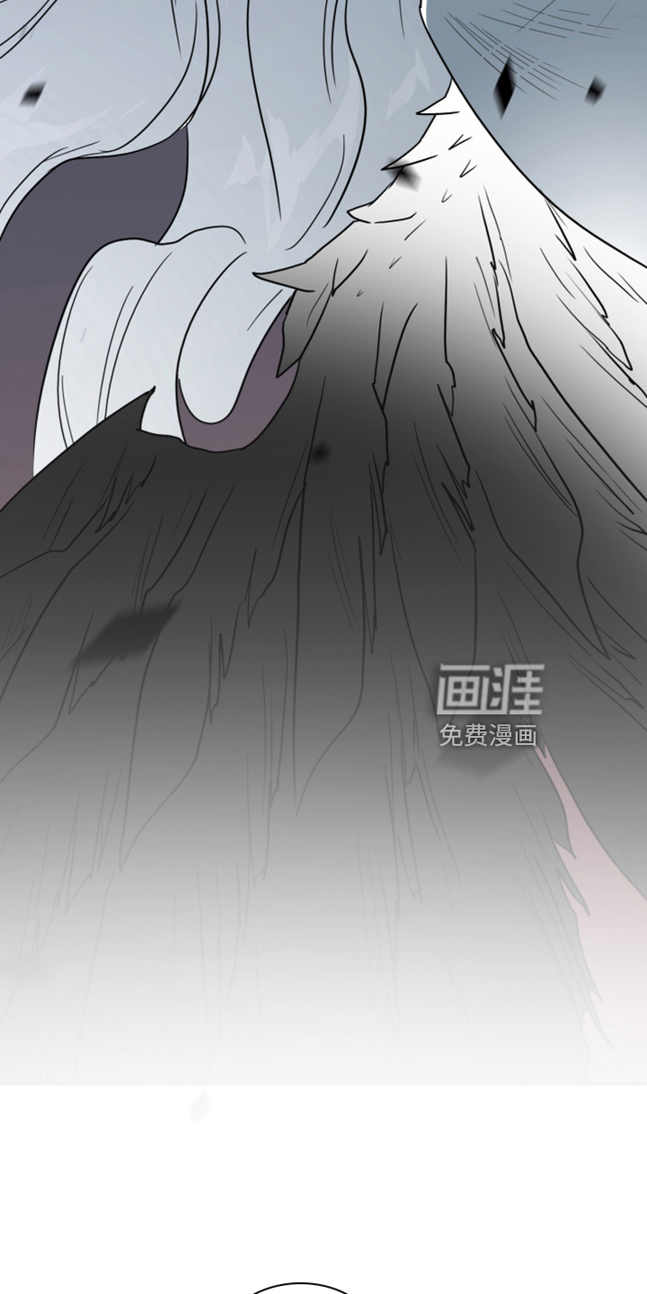 第269话 第20页